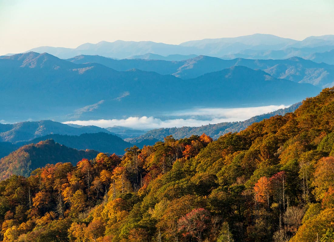 Contact - Colorful Trees Along the Mountains on a Sunny Fall Day in Tennessee